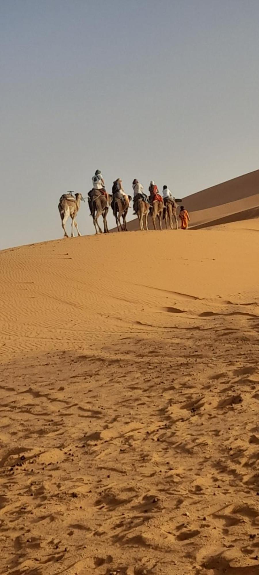 骆驼之家住宿加早餐旅馆 Hassilabied 外观 照片